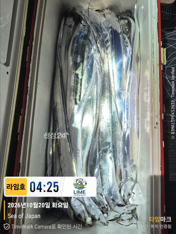 KakaoTalk_20261020_085945175_07.jpg