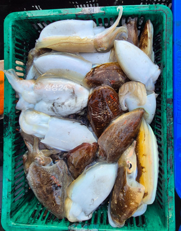 20261016_161051.jpg
