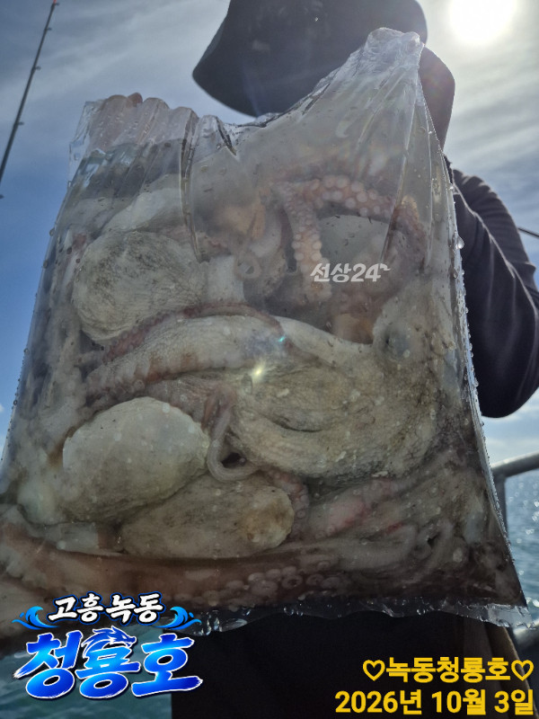 1000068720.jpg