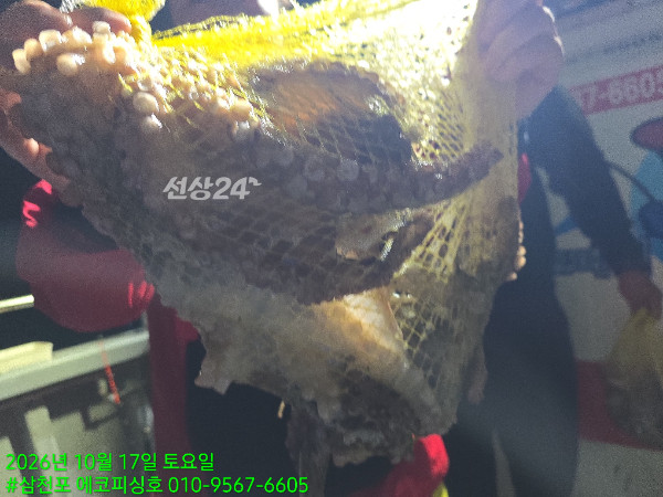 1000011108.jpg