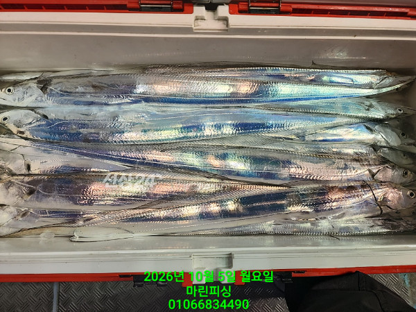 KakaoTalk_20261005_132543972_13.jpg