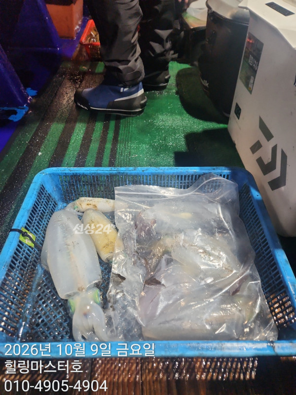 KakaoTalk_20261009_032626345_01.jpg