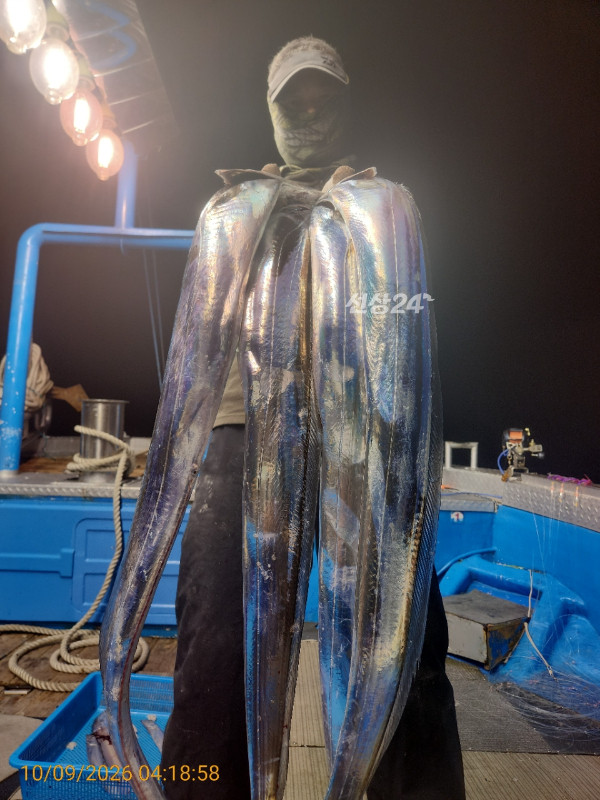 KakaoTalk_20261011_174542372_13.jpg