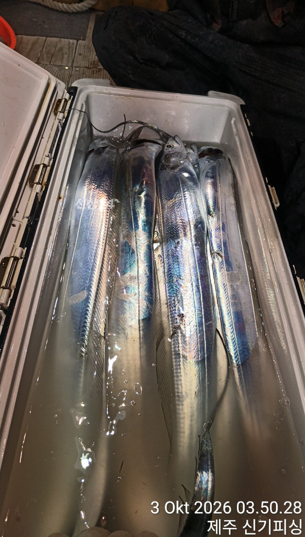 KakaoTalk_20261003_083540471_17.jpg