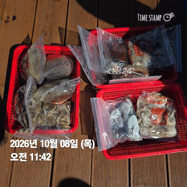 KakaoTalk_20261008_195803568_01.jpg