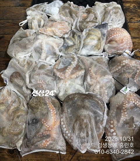 TC_09791.jpeg