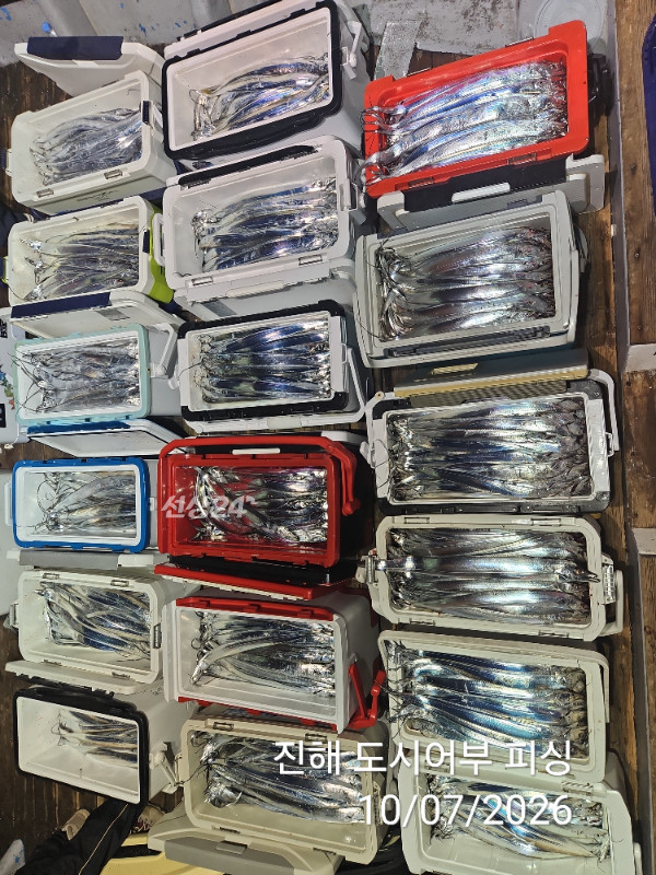 KakaoTalk_20261007_050419897_10.jpg