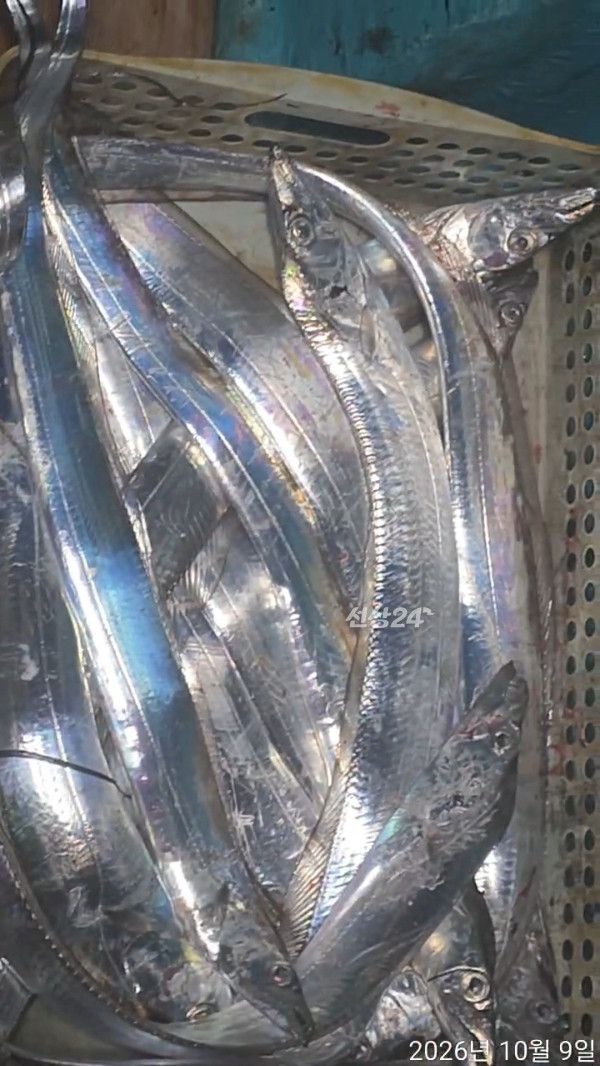 TimeVideo_20261009_211349.jpg