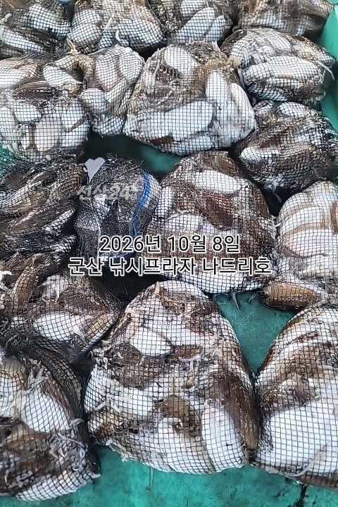 KakaoTalk_20261008_161614168.jpg