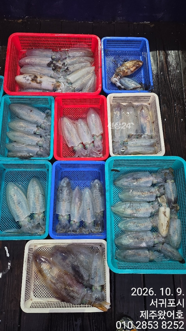 제주왔어호_사진_20261009_31.jpg
