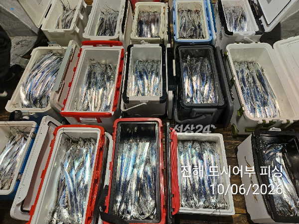 KakaoTalk_20261006_045311778_05.jpg