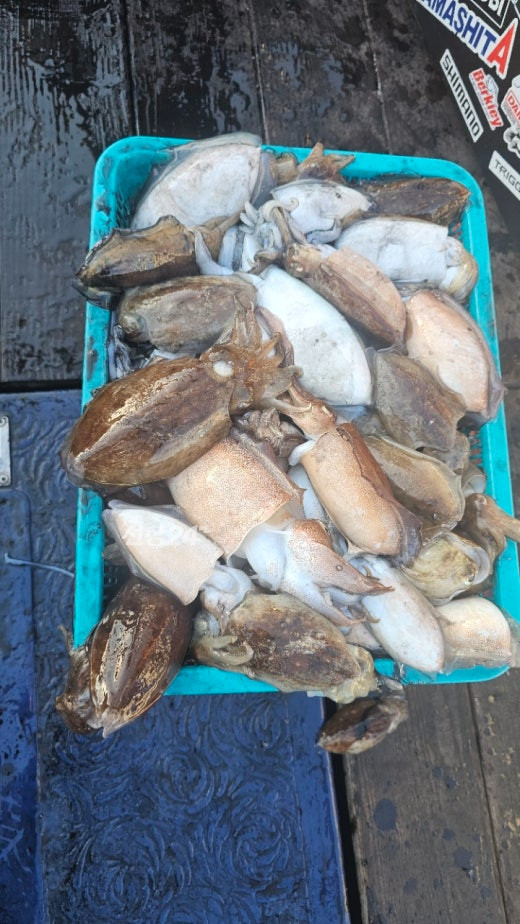 KakaoTalk_20261005_102152018.jpg