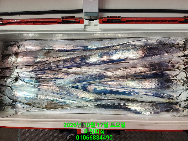 KakaoTalk_20261017_103959176_24.jpg
