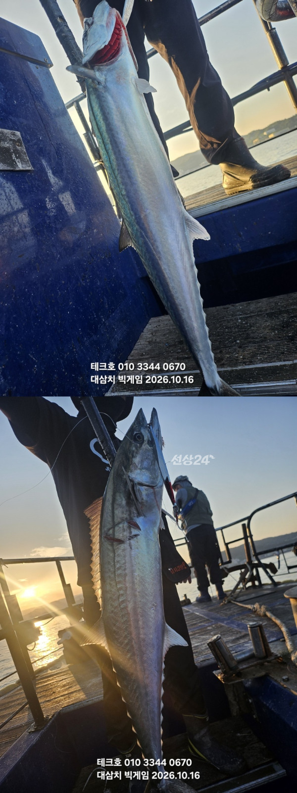 KakaoTalk_20261016_174326988_20-vert.jpg