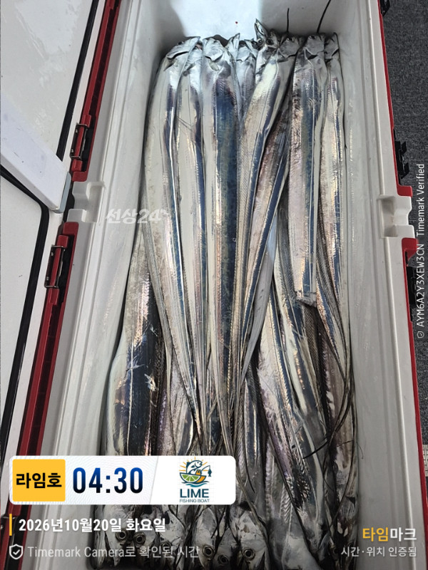 KakaoTalk_20261020_085945175_08.jpg