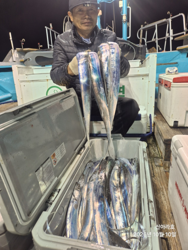 신아라호 한치 칼치 오징어_사진_20261010_8.jpg