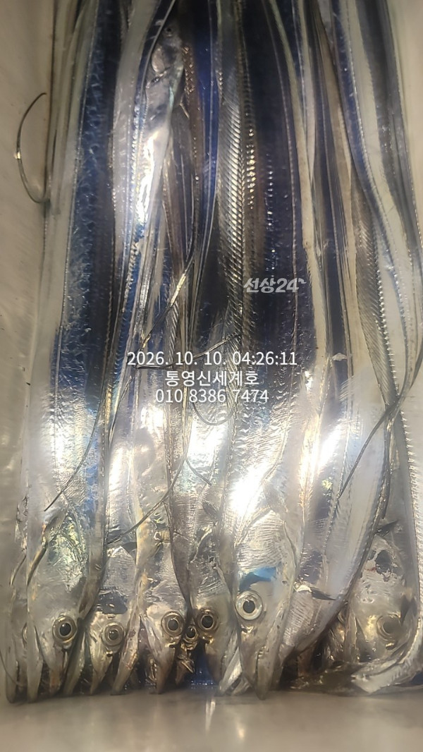 1791611603479.jpg