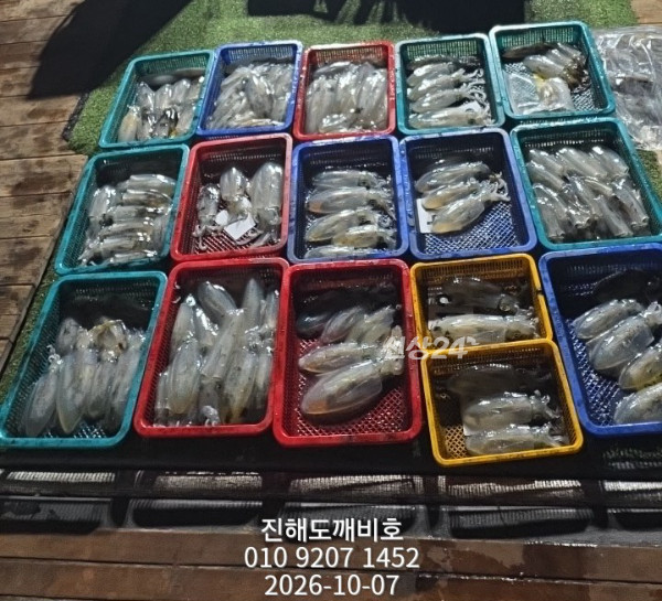 9036.jpg