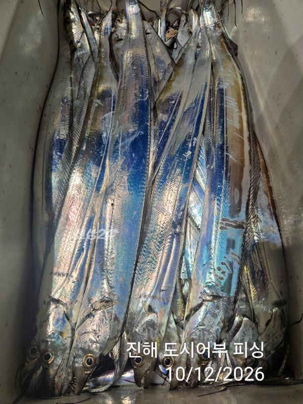 KakaoTalk_20261012_044857632_18.jpg