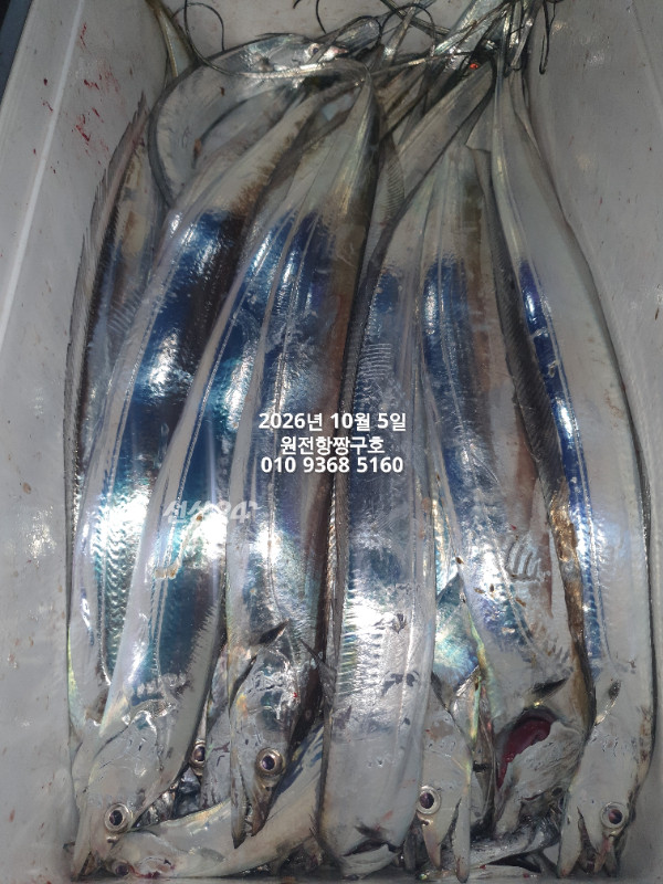 KakaoTalk_20261005_051425255_19.jpg