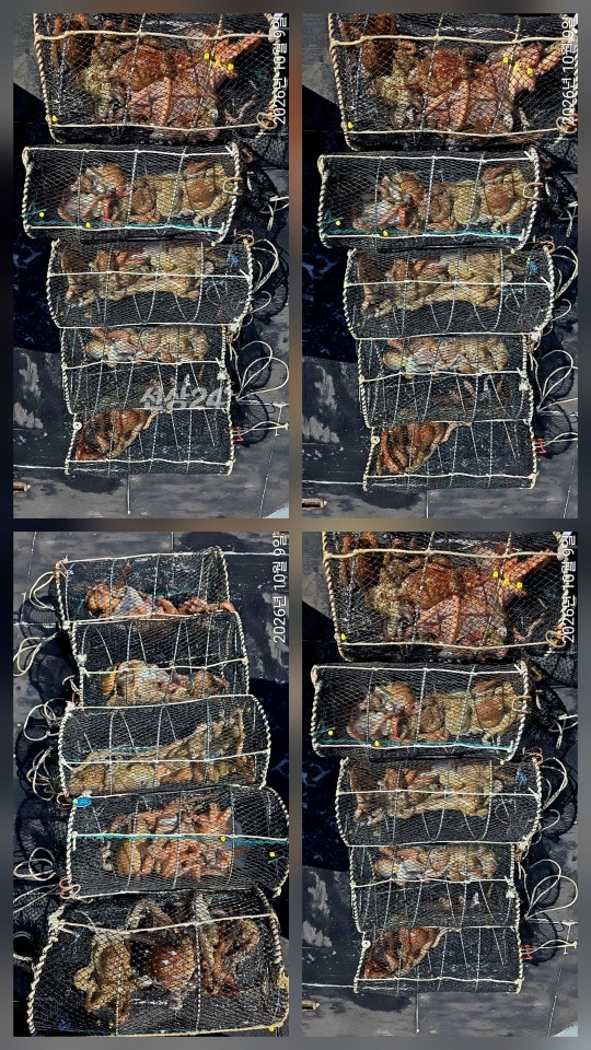 1000160838.jpg
