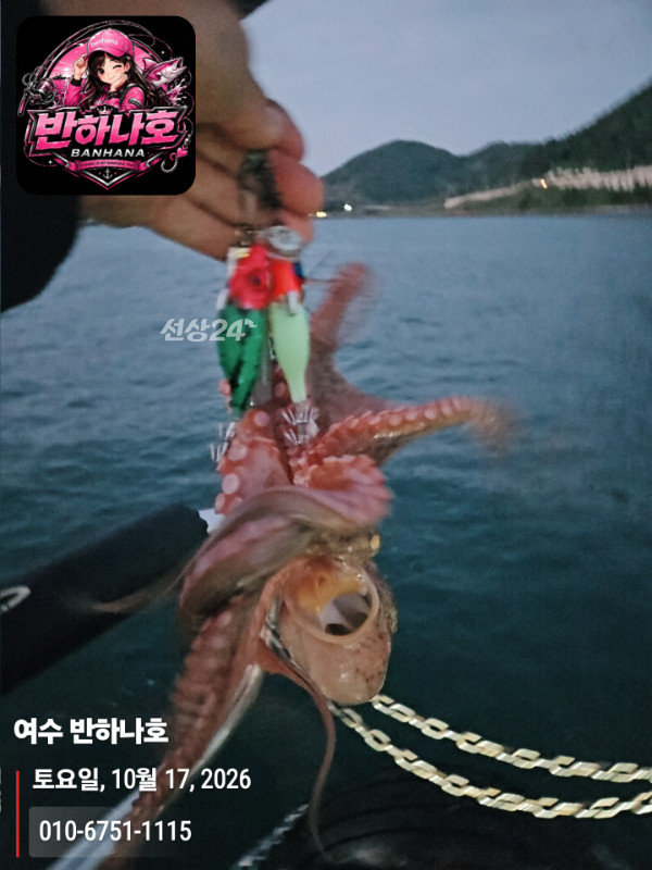 20261017_061401_제목-여수 반하나호_010-6751-1115.jpg
