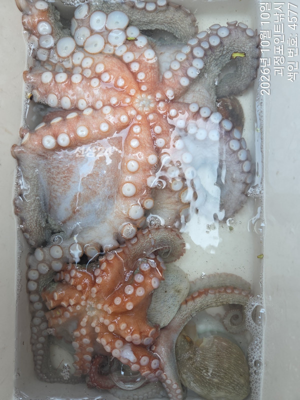 KakaoTalk_20261010_142307802_08.jpg