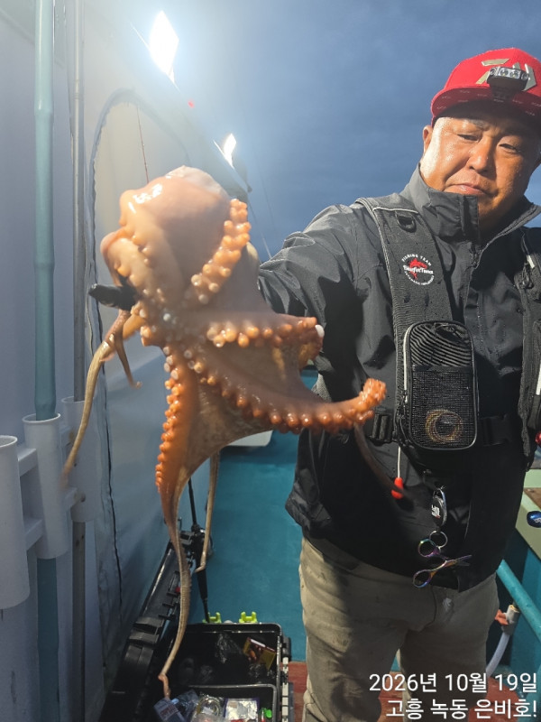 고흥 녹동 은비호!(두족류,돌돔,외수질)_사진_20261020_8.jpg