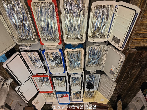 73EC03F6-B59F-4FBF-B41C-14B78F253C29.jpeg