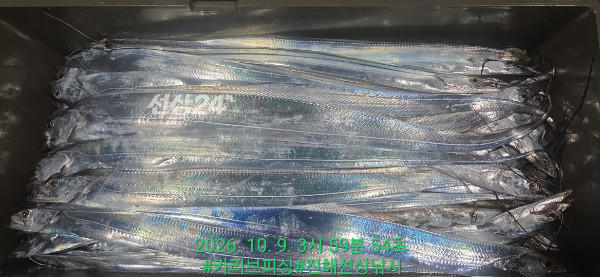 1000086716.jpg