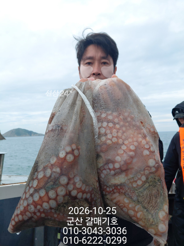 13042.jpg