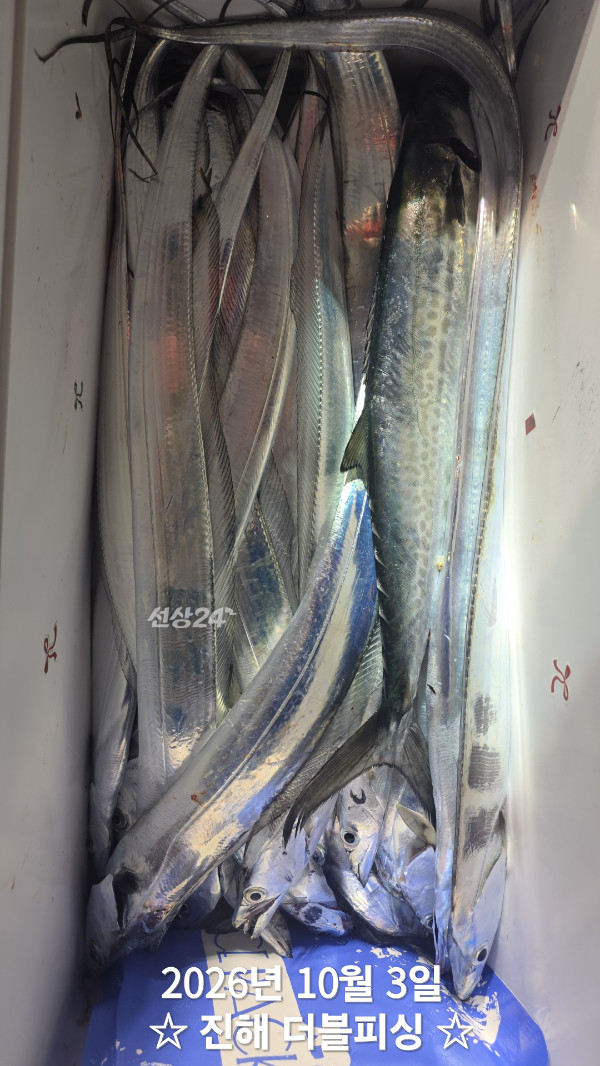 51844.jpg