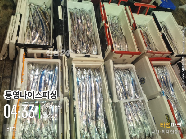 20261016_043344_글꼴-통영나이스피싱.jpg