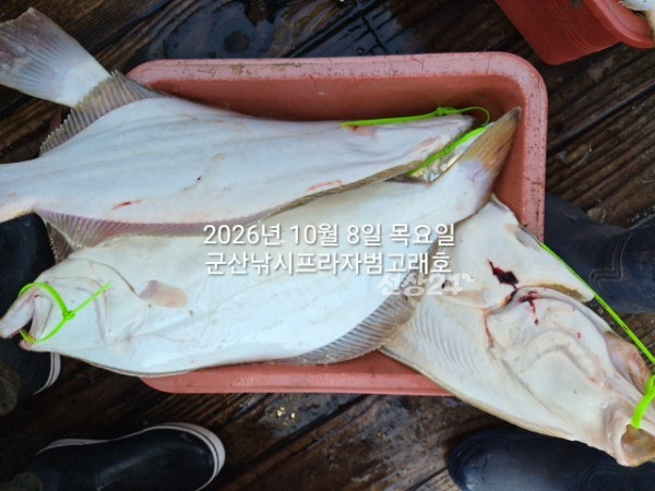 KakaoTalk_20261008_163832700_01.jpg