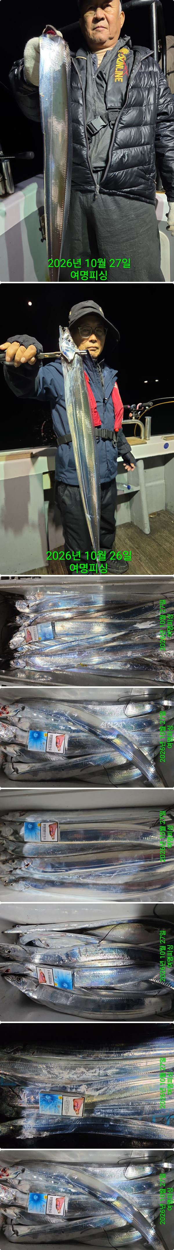 27일갈치중.jpg