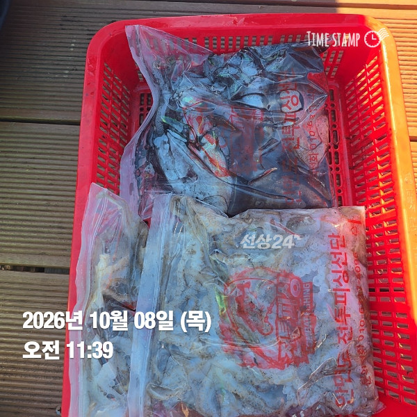 KakaoTalk_20261008_195803568_05.jpg