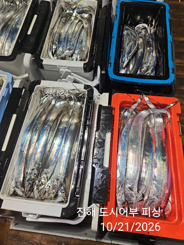 KakaoTalk_20261021_040550071_15.jpg