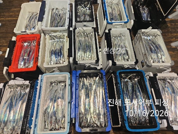 KakaoTalk_20261016_060819468_12.jpg