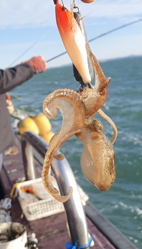 Screenshot_20261002_142126_Video Player.jpg