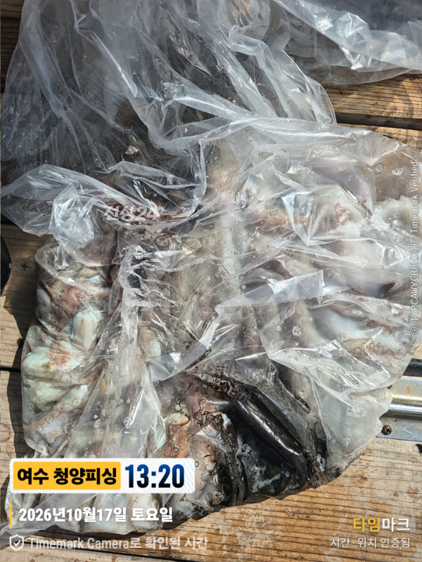 20261017_132005_제목-여수 청양피싱.jpg