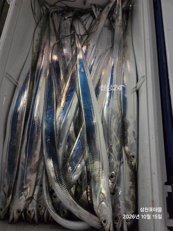20261015_232800.jpg