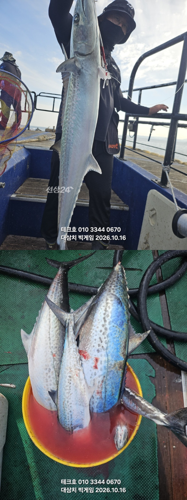 KakaoTalk_20261016_174326988_06-vert.jpg