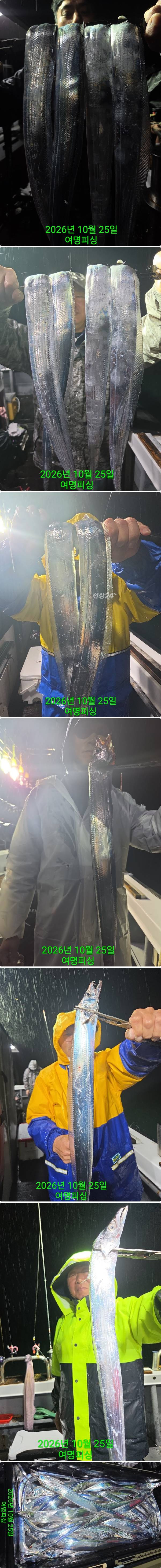 25일갈치상.jpg