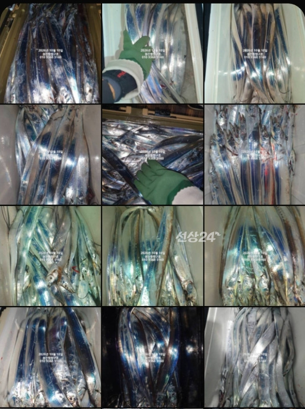 KakaoTalk_20261010_055959116_01.jpg
