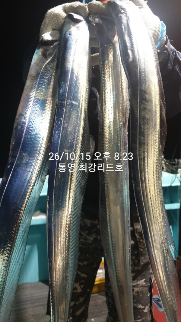 KakaoTalk_20261016_114521200_01.jpg