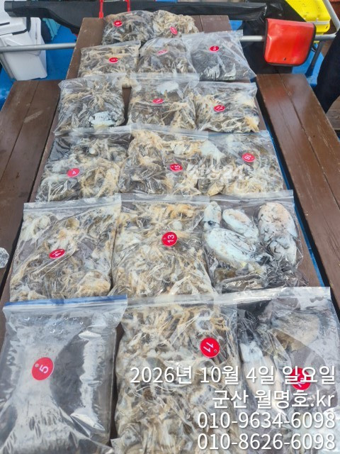 18082.jpg