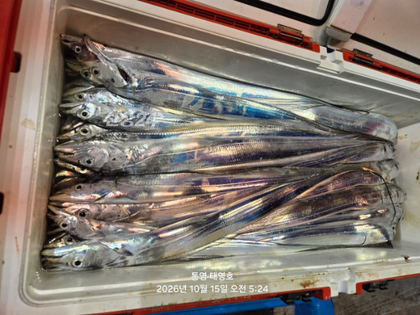 KakaoTalk_20261015_093703594_02.jpg