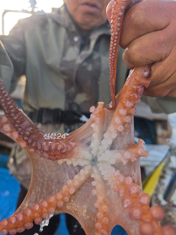15018342-E487-4417-892F-DB9966B3E1C0.jpeg