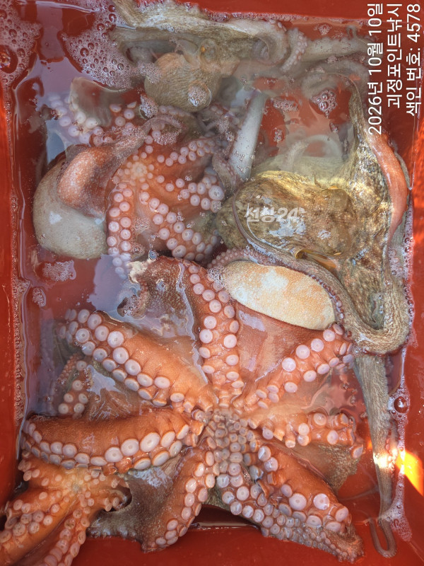KakaoTalk_20261010_142307802_05.jpg