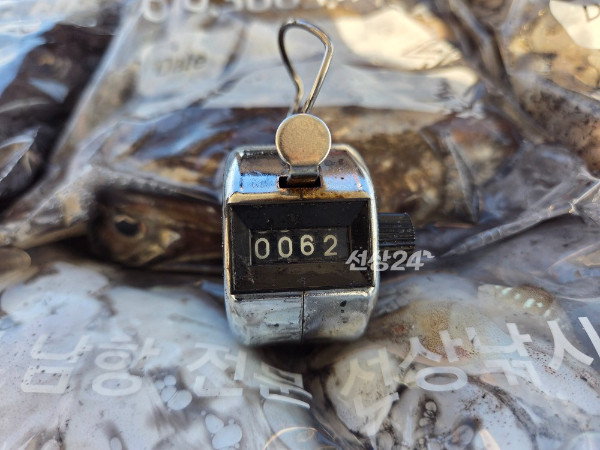 25310.jpg